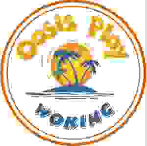 Oasis Play Logo